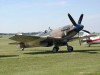 Spitfire